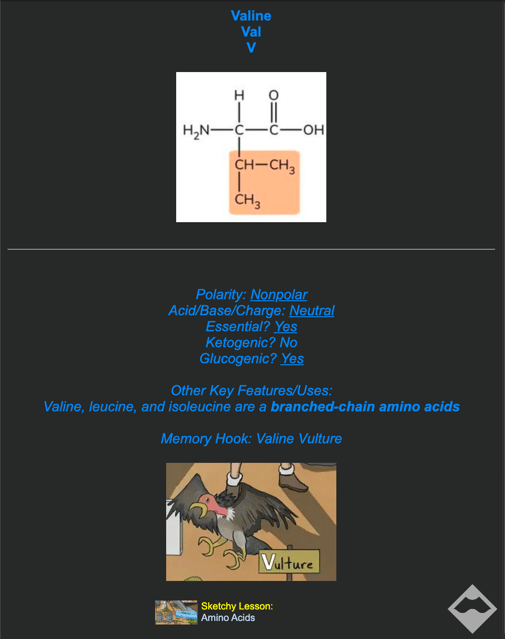 Free sketchy resource high quality comprehensive mcat anki deck